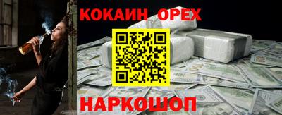 гашик Гусев