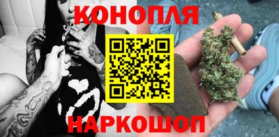 гашик Гусев