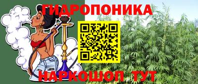 гашик Гусев
