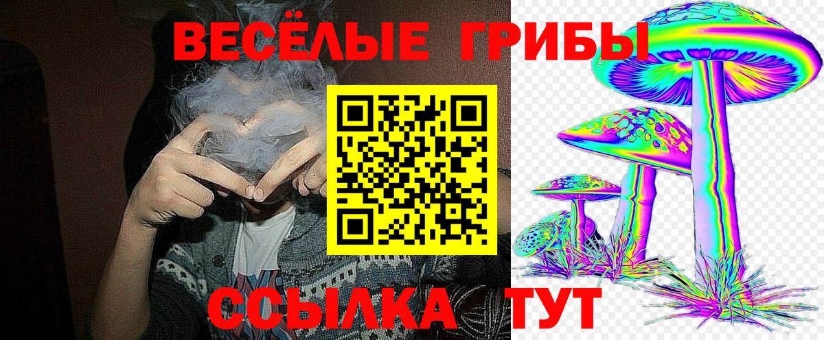 ГАШ  Новоалександровск  Купить наркотики цена  Меф   Метамфетамин  Мефедрон  ТГК  Каннабис  Вход с VPN 